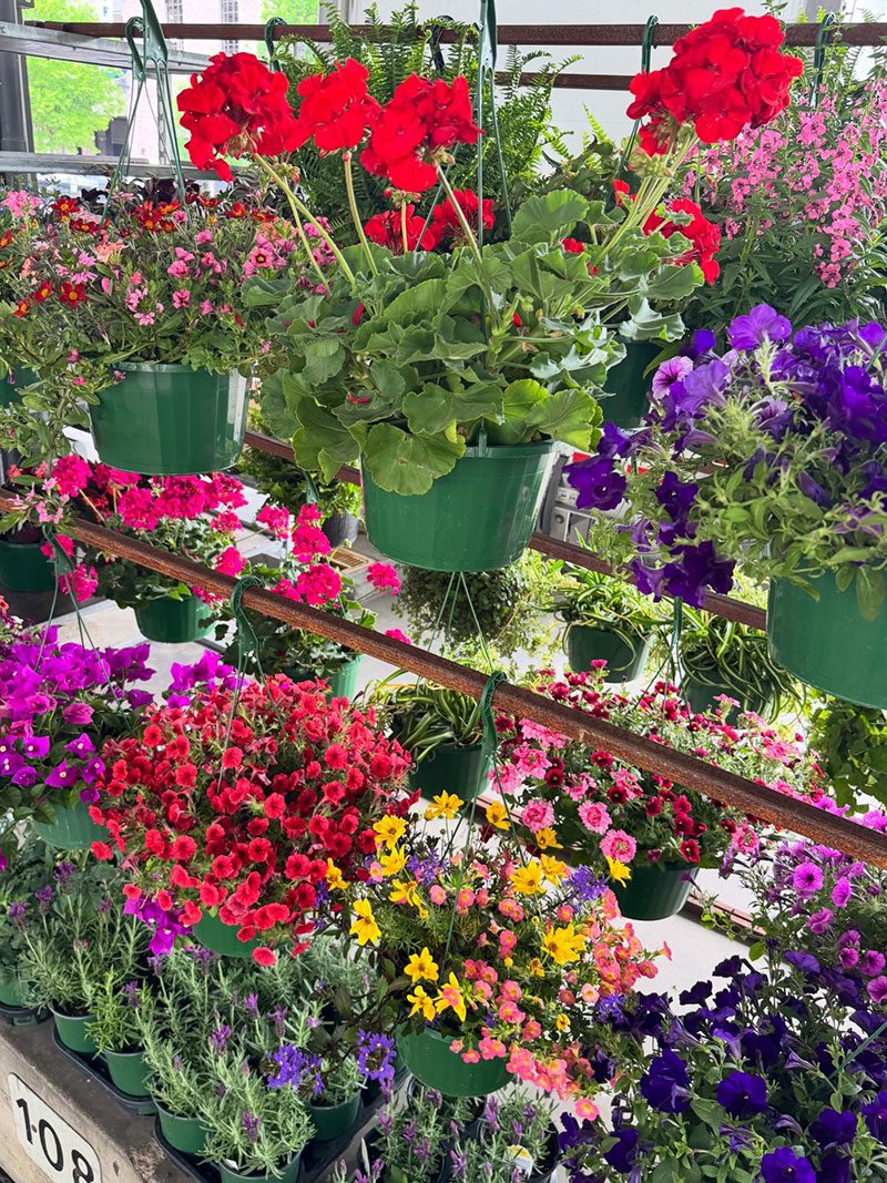 Mother's Day at Dallas Farmers Market