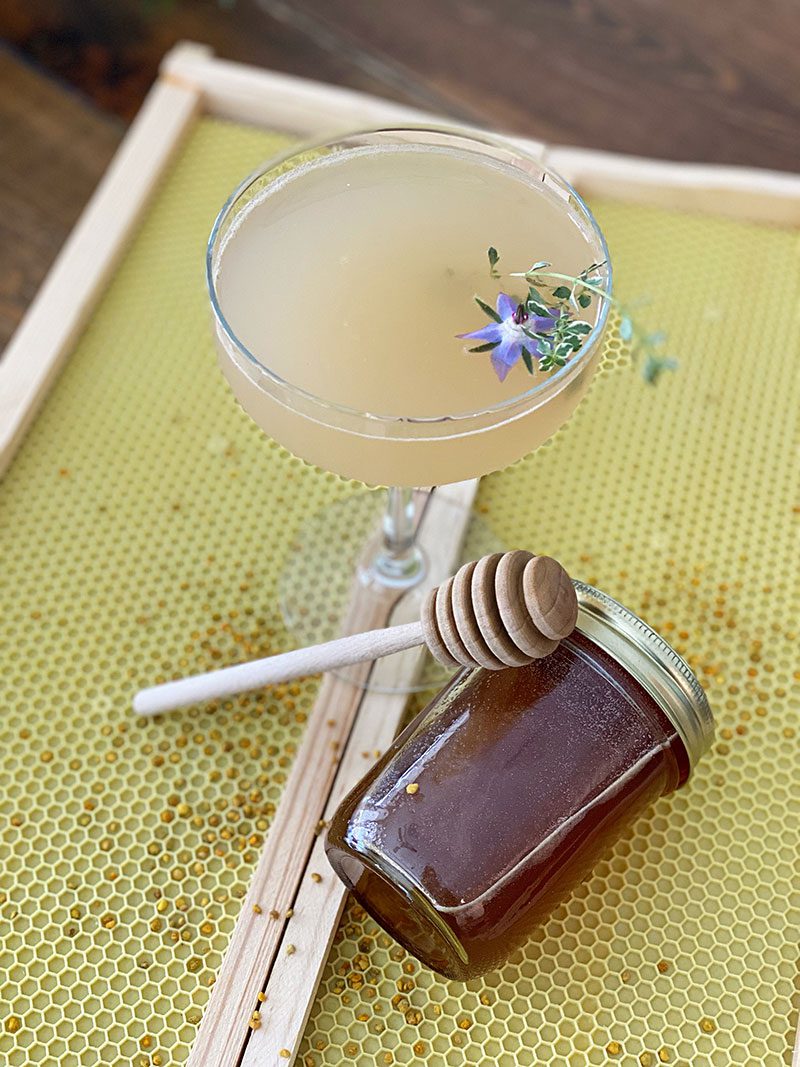 Honey thyme margarita with a salted rim